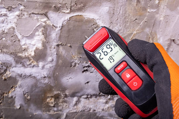 Best Attic Mold Remediation in Wamac, IL