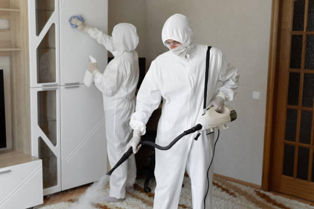 Best Kitchen Mold Remediation in Wamac, IL